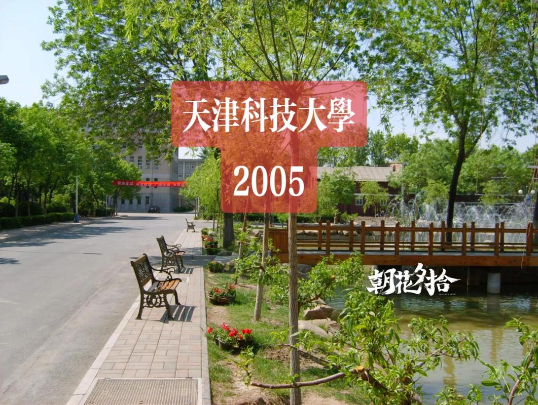 二十年前的天津科技大學 河西校區的那家餐廳，你吃過嗎？